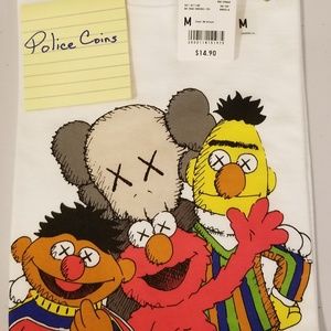 kaws ernie